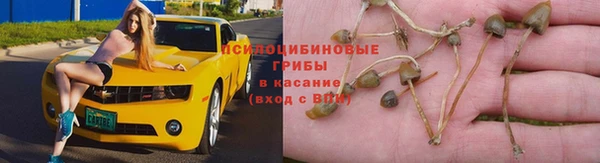 герыч Алексеевка
