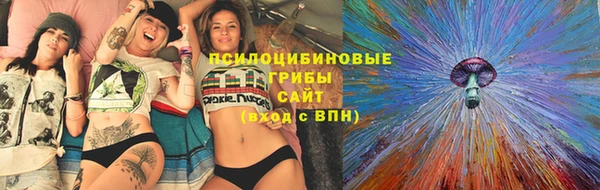 амф Алзамай