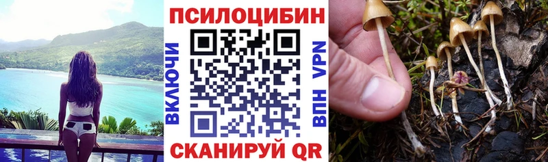 Галлюциногенные грибы прущие грибы  Учалы 